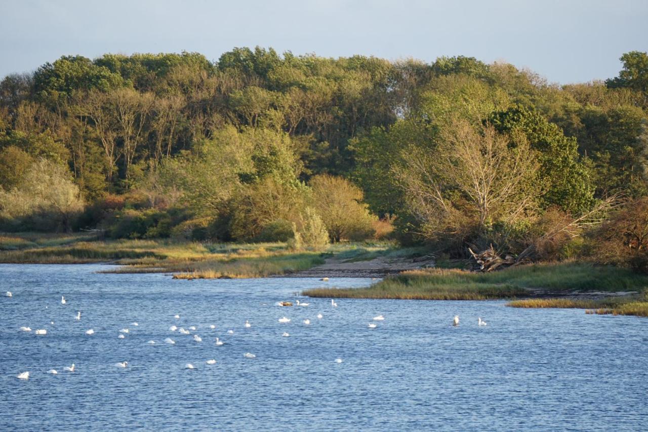 Bades Huk Marina Hotel Hohen Wieschendorf Zewnętrze zdjęcie